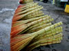 Brooms in Dushanbe